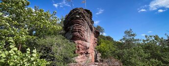 Geschichteter, rötlicher Felsturm am Nedigfelsen bei Hauenstein mit Heidekraut am Fuß und kleiner Kiefer auf der Kuppe