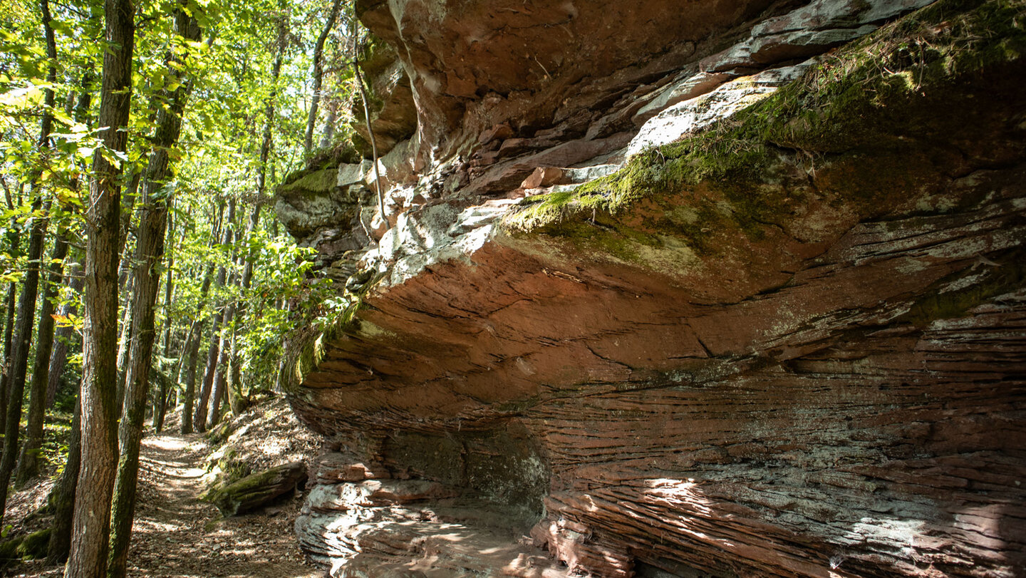 Schmaler Waldpfad am Fuß der Nedig-Ostfelsen mit weit überhängender, rötlich geschichteter Buntsandsteinwand und lichtem Laubwald links