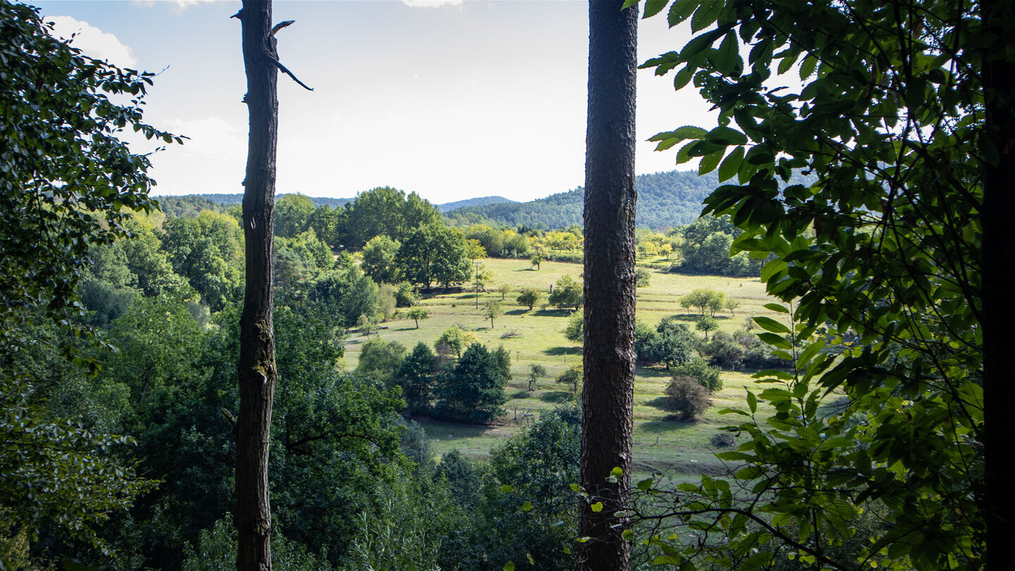 Durchblick zwischen zwei Baumstämmen auf die Wiesen der Mühlhalde bei Hauenstein mit verstreuten Obstbäumen und bewaldeten Hügeln im Hintergrund