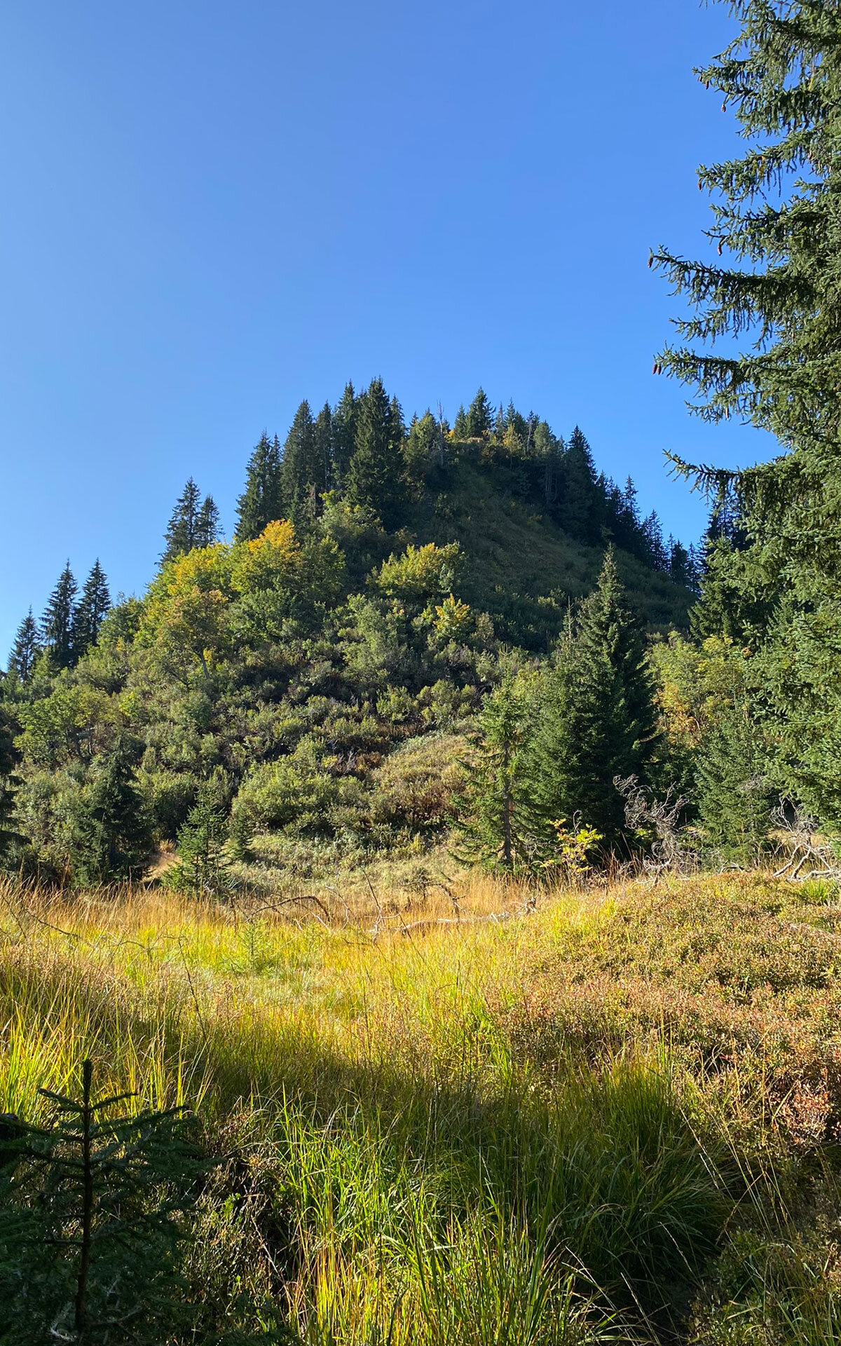 vor dem Anstieg ein Blick zum Heuberggipfel Blick auf den Heuberggipfel