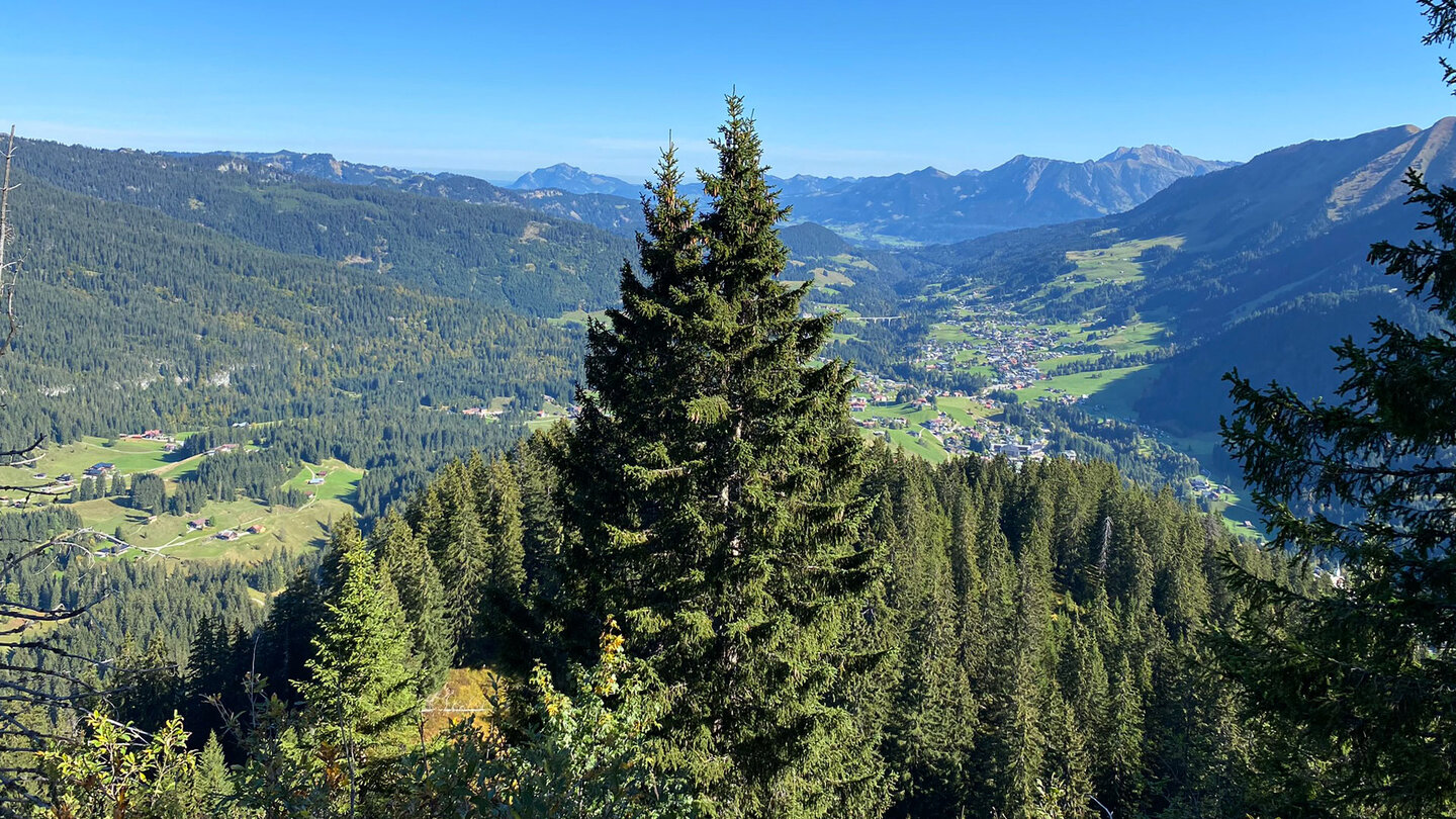 weiter Blick nach Norden in Richtung Oberstdorf Nordblick Richtung Oberstdorf