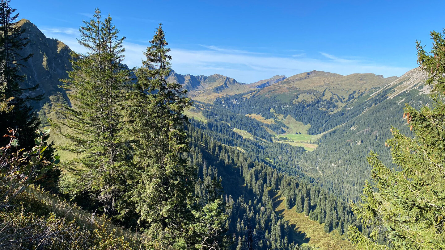 malerischer Blick über das Schwarzwassertal Blick über das Schwarzwassertal