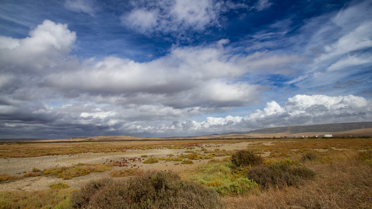 Gezeitenlagunen im Naturpark Breña y Marismas del Barbate