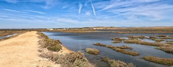 Dammweg  durch die Marismas de Barbate