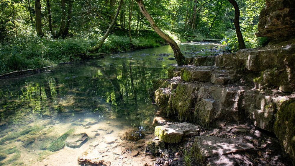 klares Wasser prägt die Gauchach