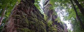 Fladensteine Bundenthal im Dahner Felsenland
