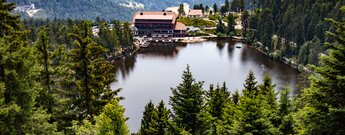 Mummelseeblick am Wanderweg