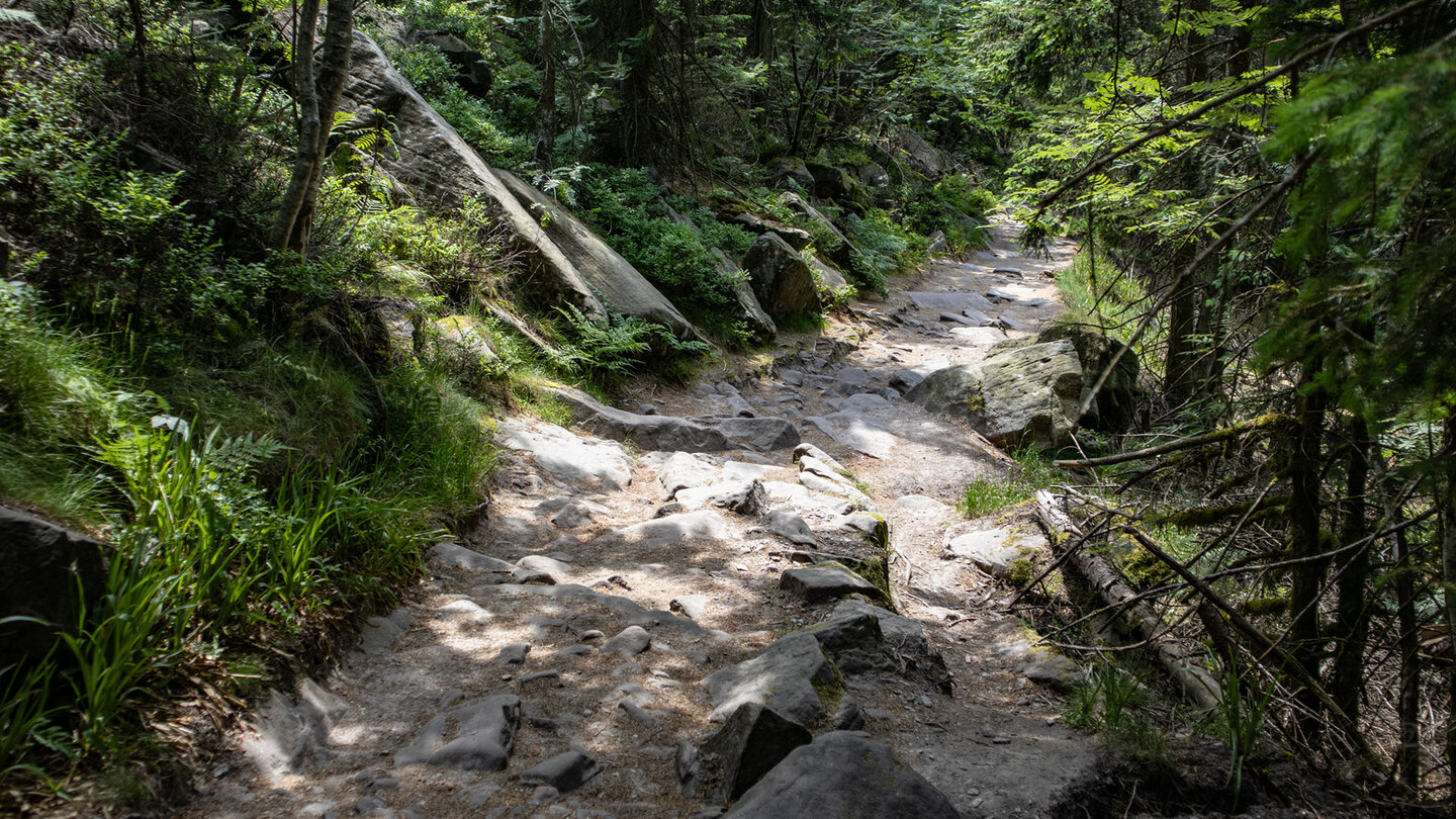 Wanderroute Hornisgrinde-Mummelsee