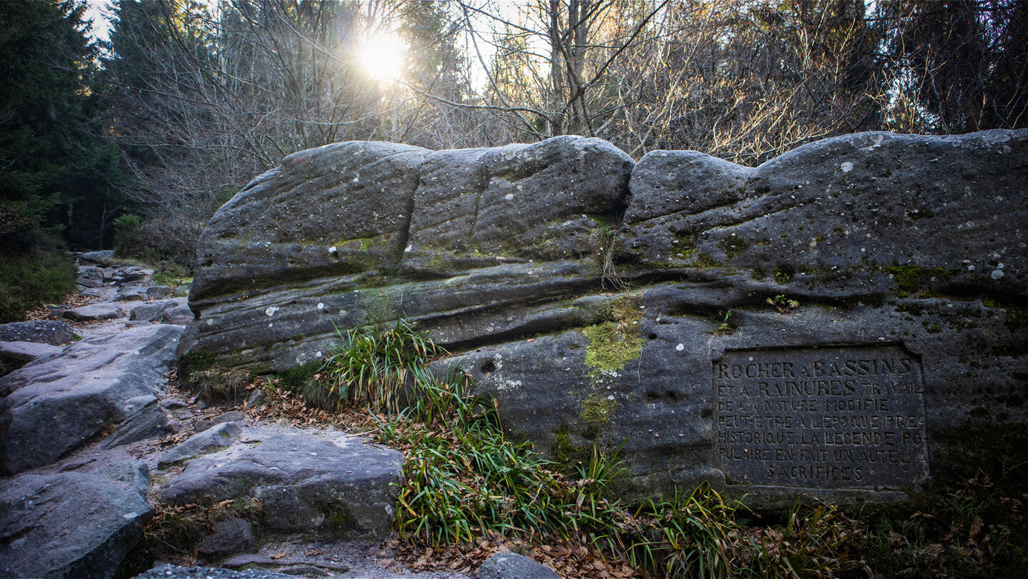 der Felsblock Rocher à Bassins