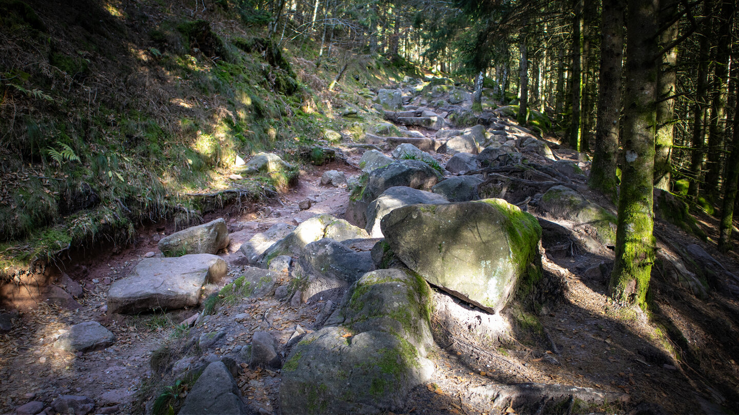 felsiger Wanderweg zum Donon