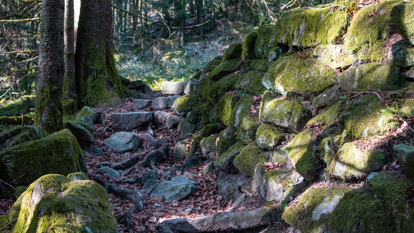 Mauern und Treppen entlang der Wanderroute zum Donon