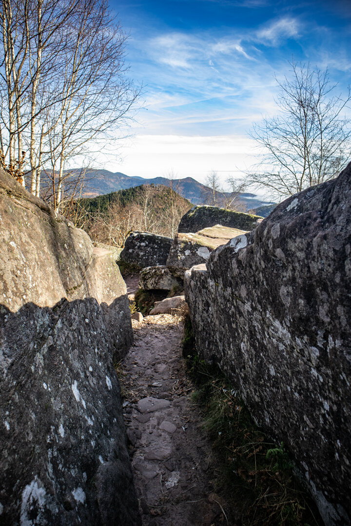 Abstieg vom Gipfel des Donon
