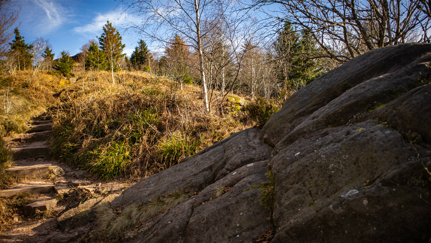 auf dem thematischen Rundweg »Sentier de Découverte«