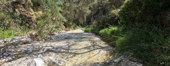 der Bachlauf des Río Higuerón