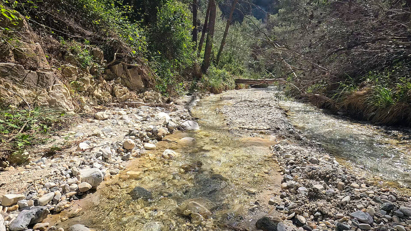 Natur am Bachlauf des Río Higuerón