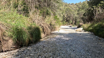 Wanderung im Bachbett des Río Higuerón