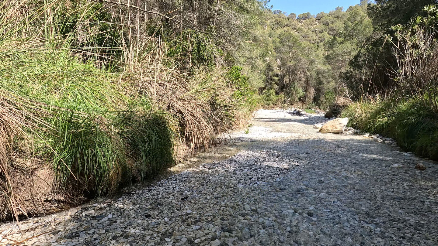 Wanderung im Bachbett des Río Higuerón