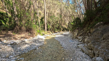 Flussbett des Río Higuerón