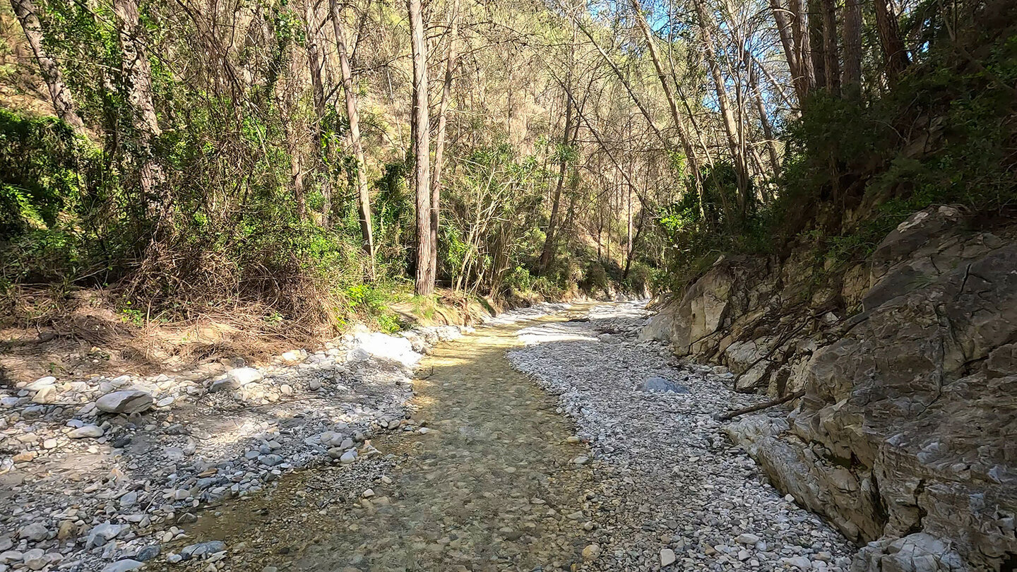 Flussbett des Río Higuerón