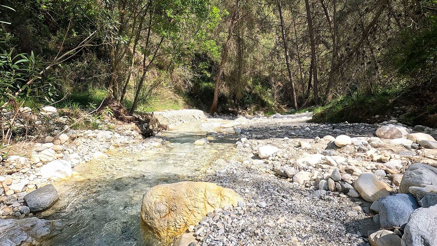 klares Wasser am Río Higuerón