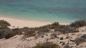 Wanderung entlang des Strandes Playa el Salado an der Ostküste von La Graciosa