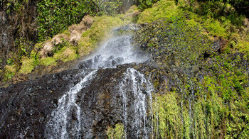 die Wasserkaskaden am Mare Aux Joncs im Black River Gorges Nationalpark