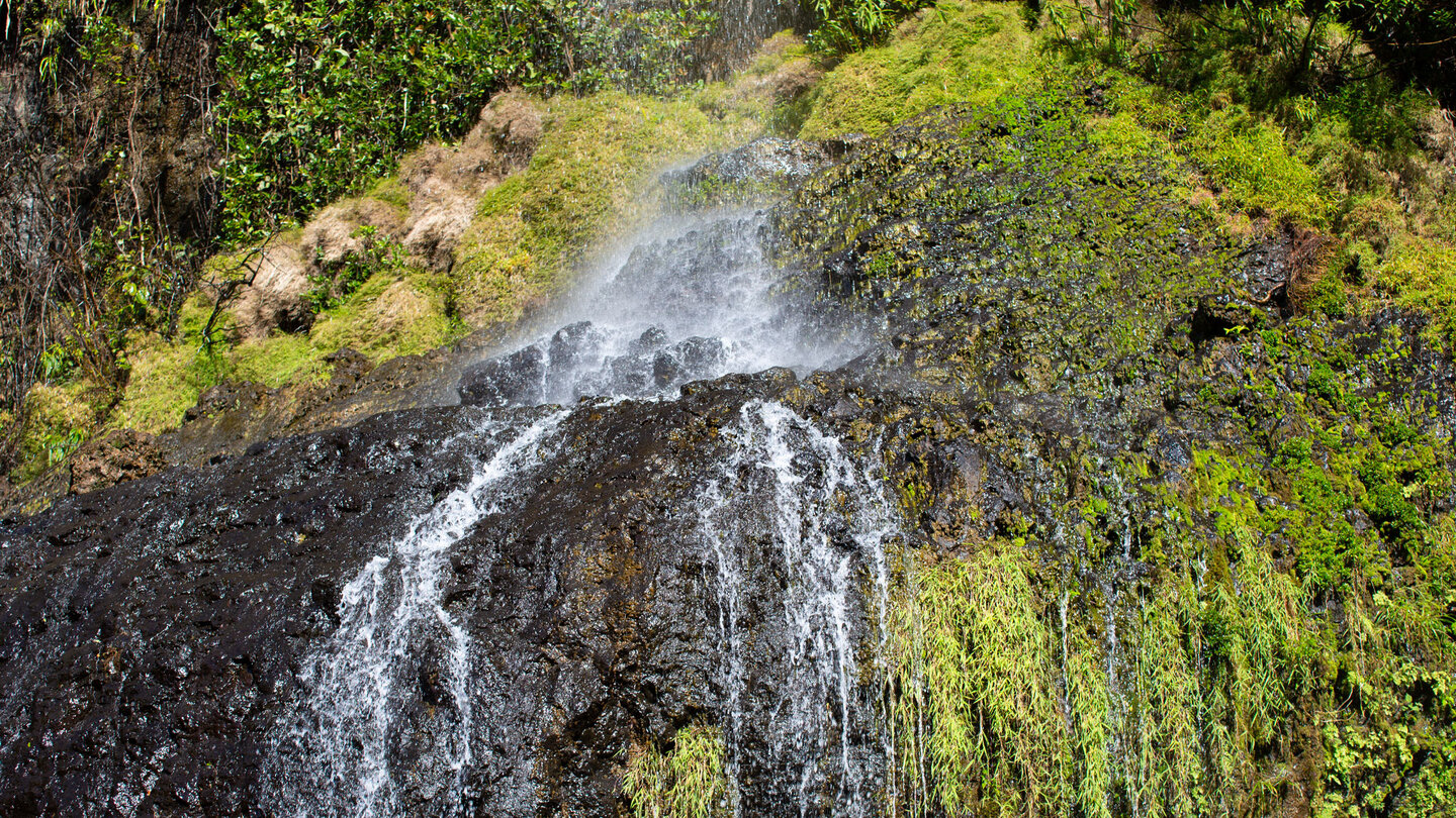 die Wasserkaskaden am Mare Aux Joncs im Black River Gorges Nationalpark