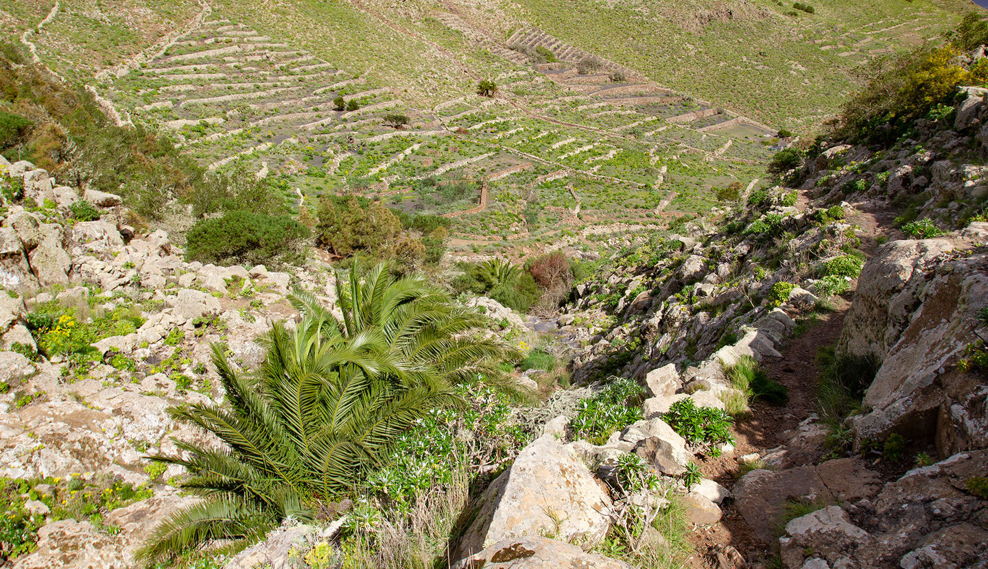 Wanderweg in der Schlucht Barranco de Elvira Sánchez Wanderweg im Barranco de Elvira Sánchez