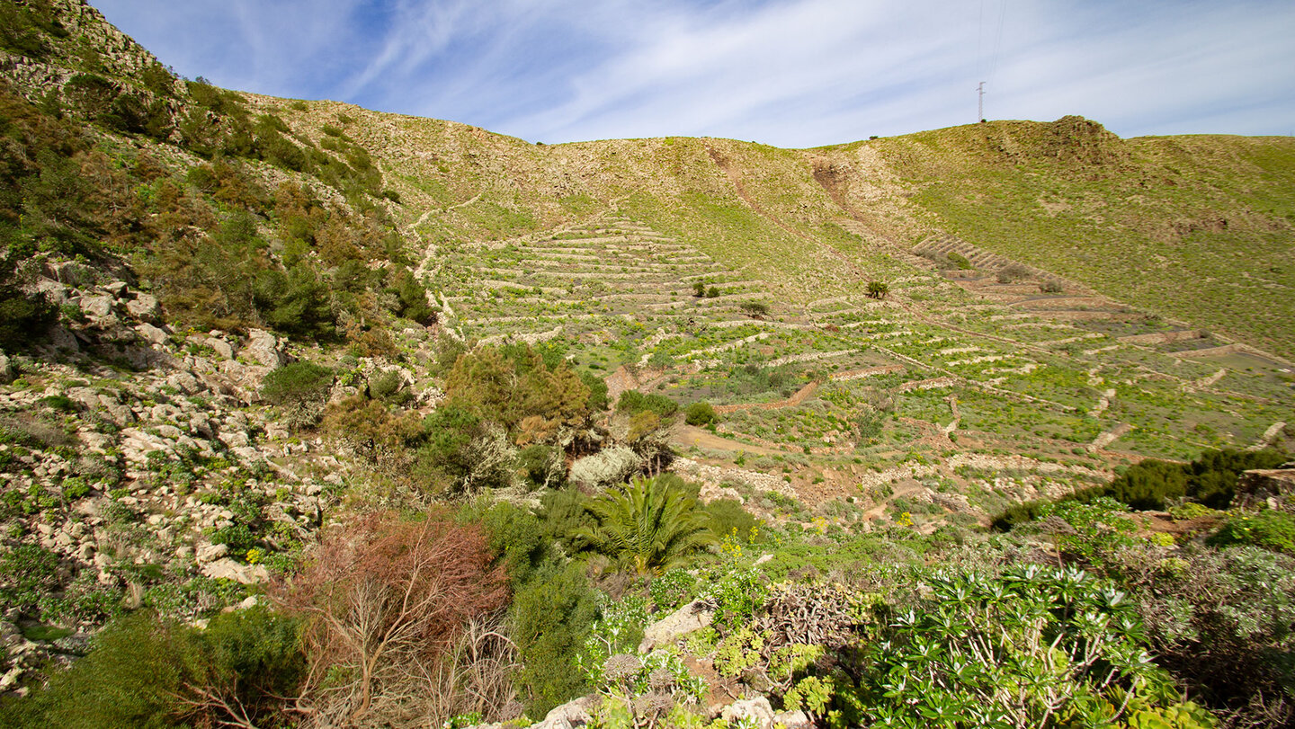 terrassierte Berghänge rund um Haría im Famara Gebirge terrassierte Berghänge rund um Haría