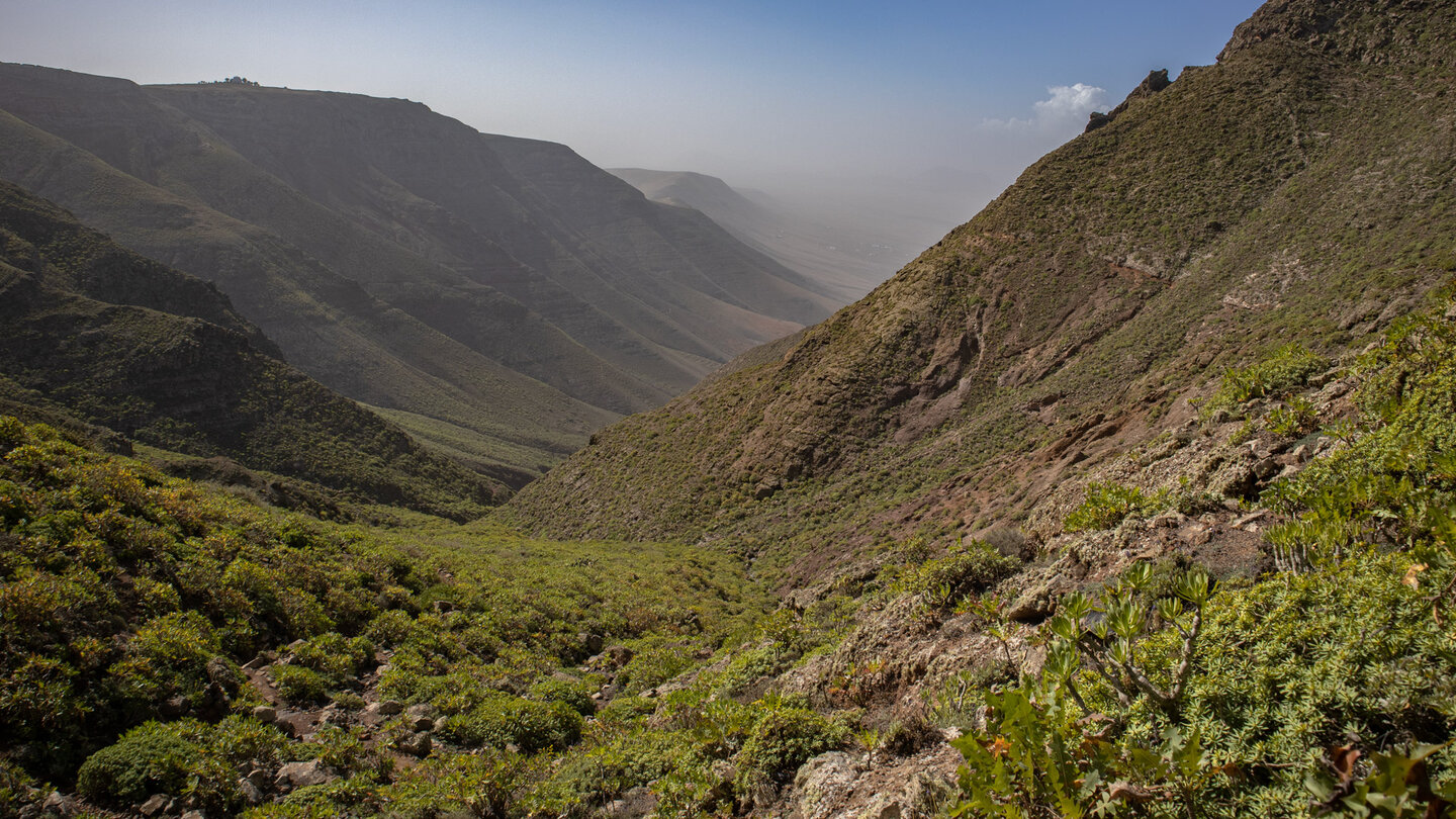 Blick entlang der Schlucht Barranco de la Poceta im Famara-Gebirge auf Lanzarote Blick entlang dest Barranco de la Poceta