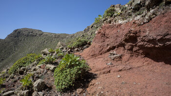 Wanderweg über rotes Gestein in der Poceta-Schlucht