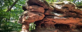 Kieungerfelsen am Dimbacher Buntsandstein Höhenweg