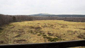 Blick vom Aussichtsturm Rotes Moor
