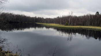 tiefschwarzer Moorsee