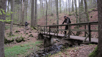 kleine Brücken in der Kaskadenschlucht