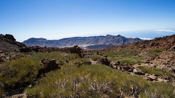 Ginsterbüsche und die Caldera entlang der Wanderung 23