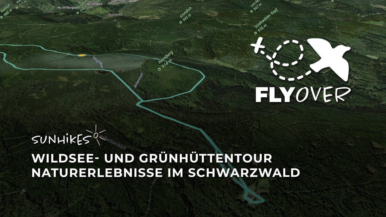 Wildsee- und Grünhüttentour: Magische Naturerlebnisse im Schwarzwald – Flyover