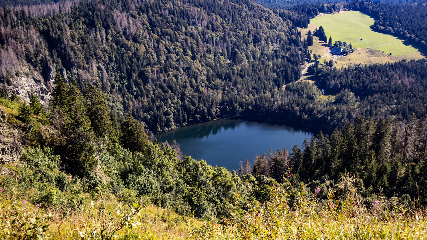 Feldseeblick entlang der Wanderung auf den Feldberg