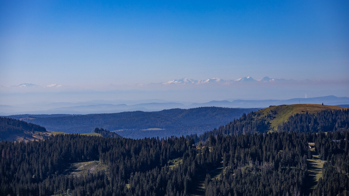 der Feldberg bietet traumhaftes Alpenpanorama der Schweizer Alpen