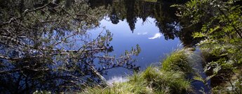 Blindensee Hochmoor und Naturschutzgebiet