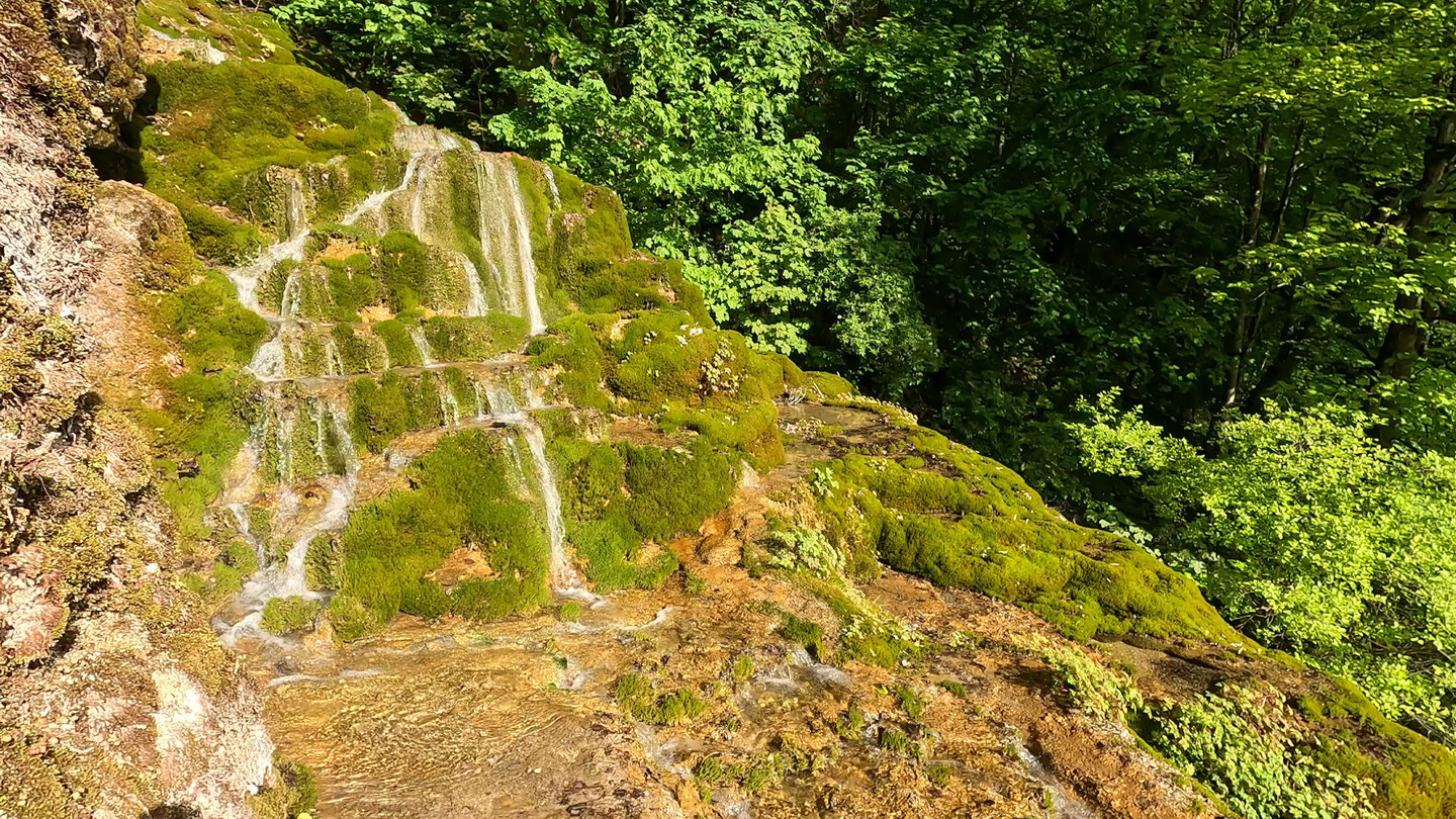 der Gütersteiner Wasserfall fließt über moosbedeckten Kalktuff