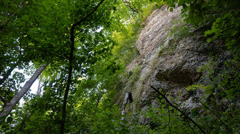 Blick hinauf an den steilen Felswänden des Sackpfeiferdobels
