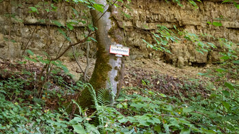 Schild Sackpfeiferdobel