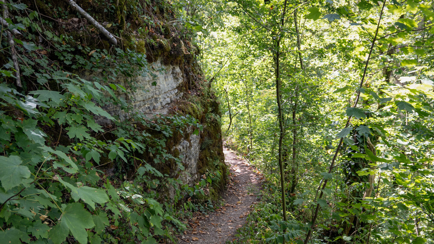 Wanderpfad führt an Felswänden vorbei durch den Sackpfeiferdobel