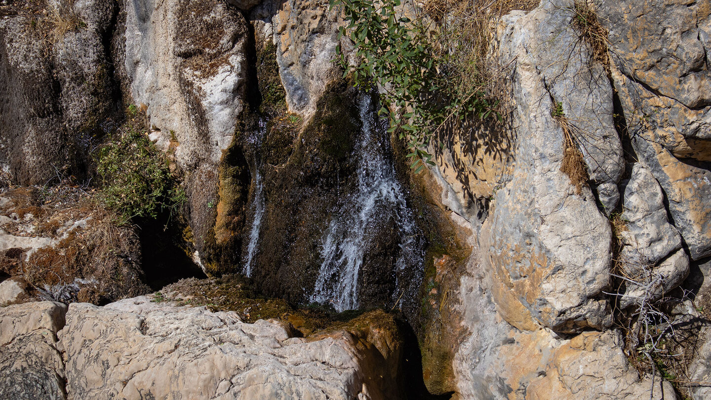 die Quelle des Flusses Castril entspringt aus Kalk- und Dolomitfelsen die Quelle des Flusses Castril
