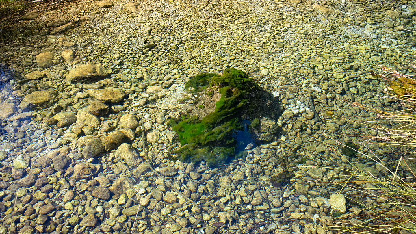 kristallklares Wasser im Oberlauf des Río Castril Wasser im Oberlauf des Río Castril