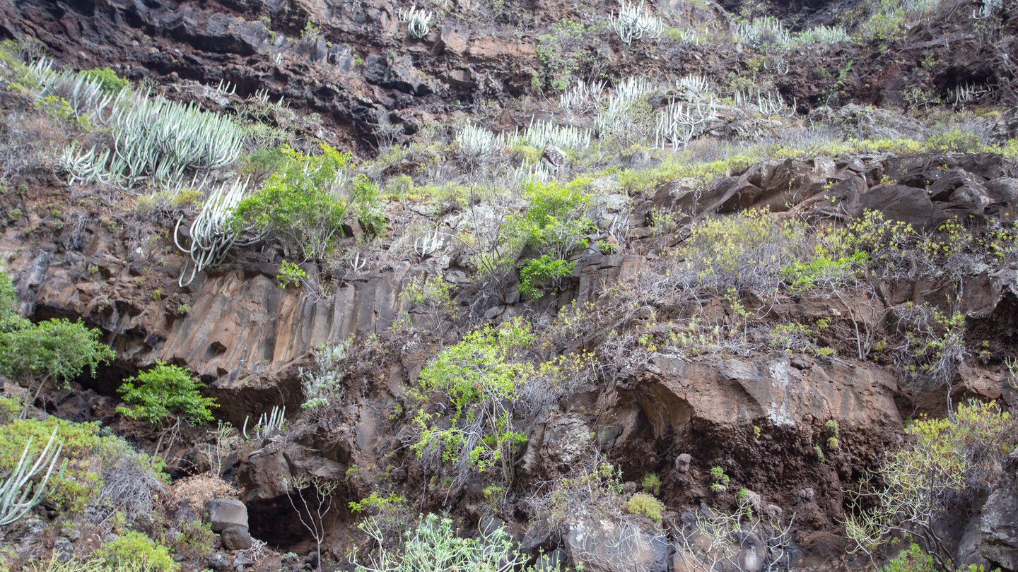 Gesteinsschichtungen entlang der Wände der Schlucht Barranco de Fagundo