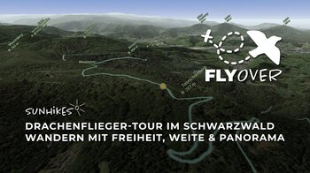 Drachenflieger-Tour im Schwarzwald mit Panorama & Rheintalblick – Flyover