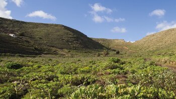 terrassierte Bergflanken im Tal von Guinate