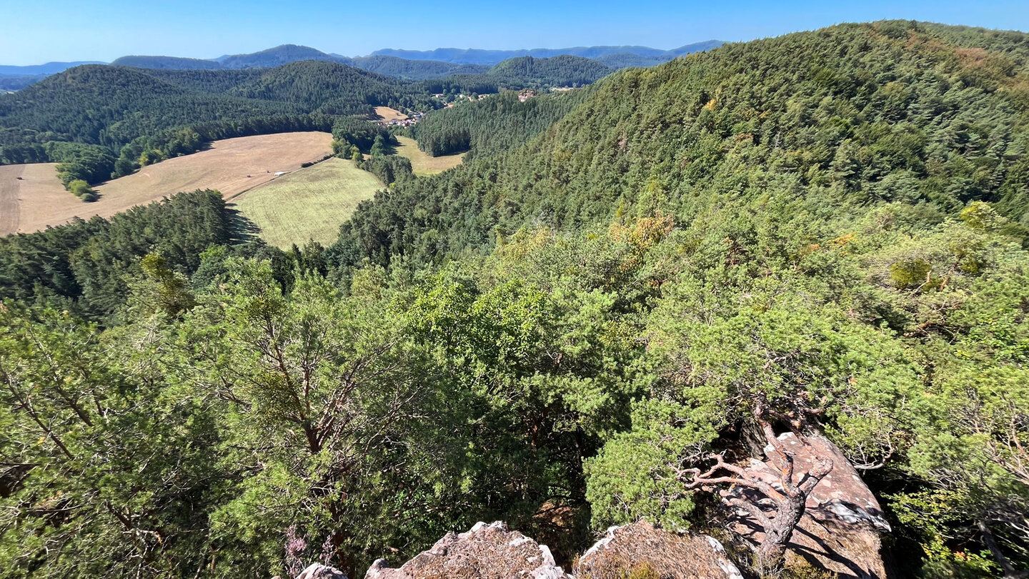 Aussicht von den Erfweiler Sattelfelsen über Bärenbrunner Tal und Wasgau.